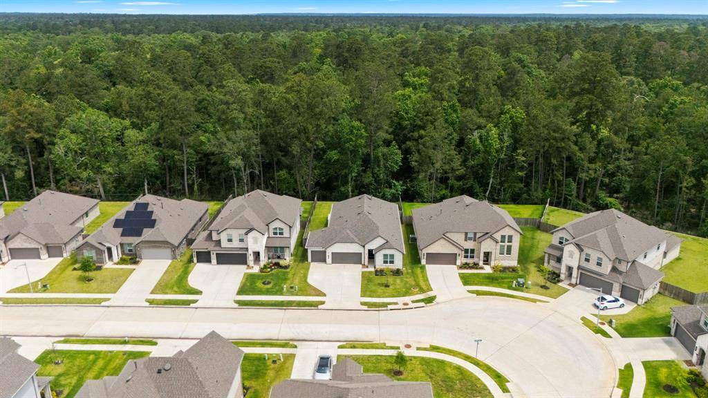 Conroe, TX 77384,15308 Sandhill Crane LN