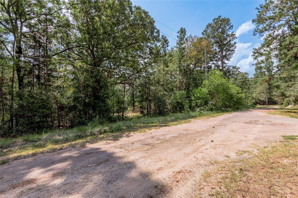 Trinity, TX 75862,Lot 68 Hidden Lane