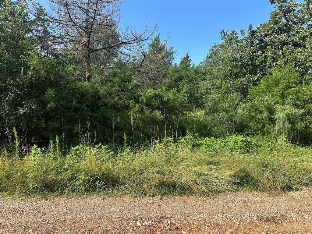 Somerville, TX 77879,600 Blueberry Hill RD