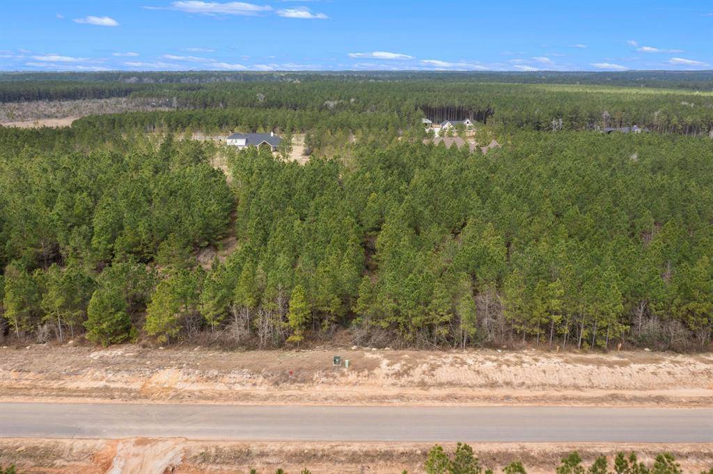 Willis, TX 77378,15504 Wood Grove WAY