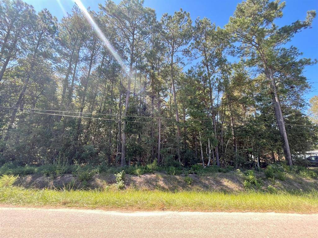 New Caney, TX 77357,Lot 322 Woods DR