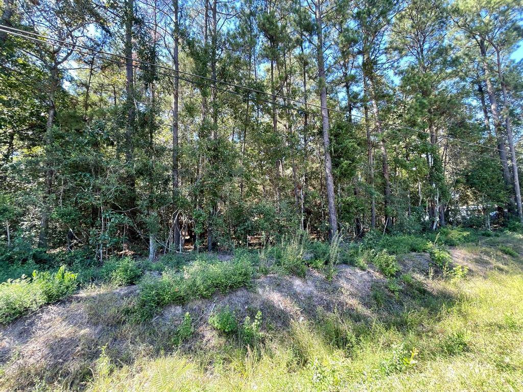 New Caney, TX 77357,Lot 322 Woods DR