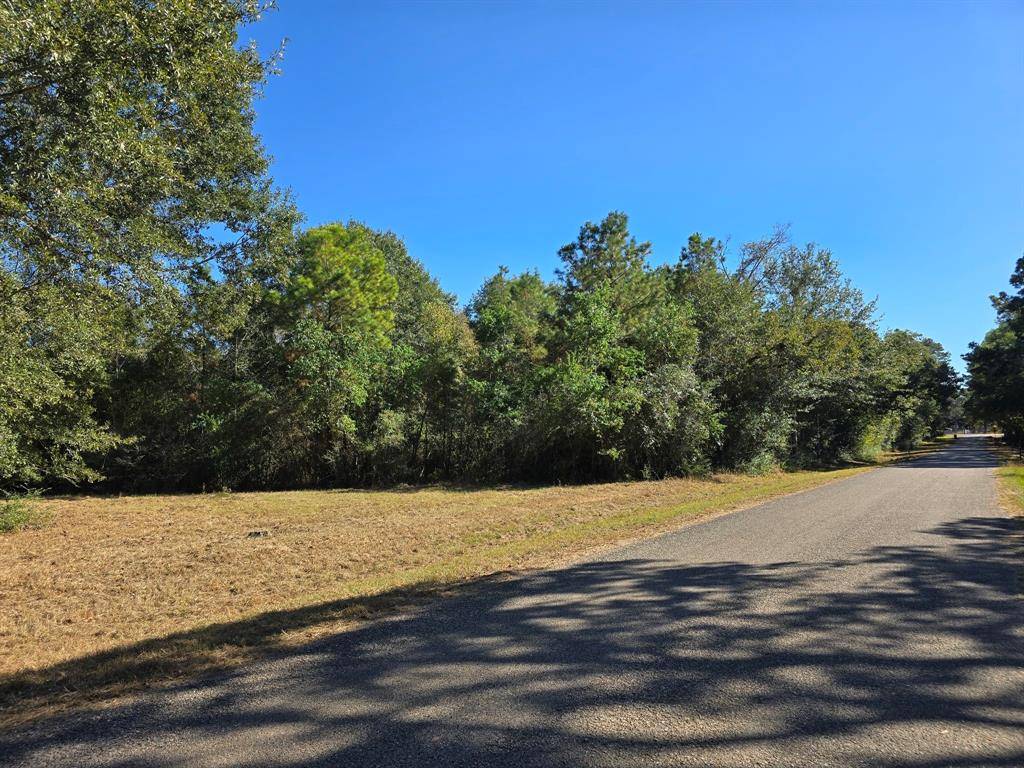 Hockley, TX 77447,Lot 5 Tepee TRL