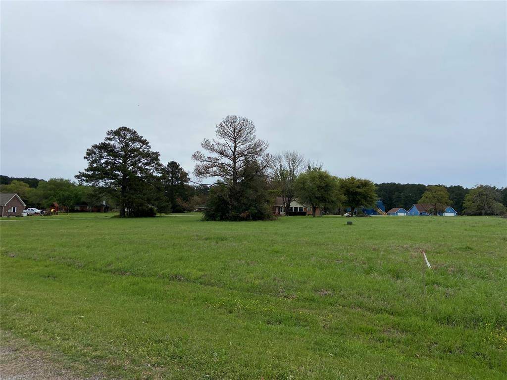 Trinity, TX 75862,TBD MEADOWVIEW DR