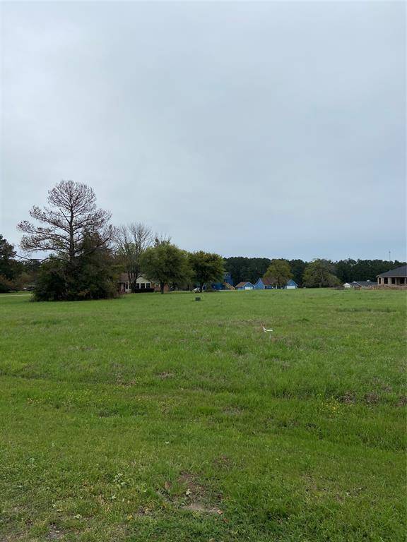 Trinity, TX 75862,TBD MEADOWVIEW DR