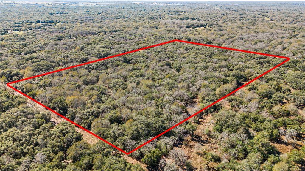 Rock Island, TX 77470,0000 Jackrabbit RD