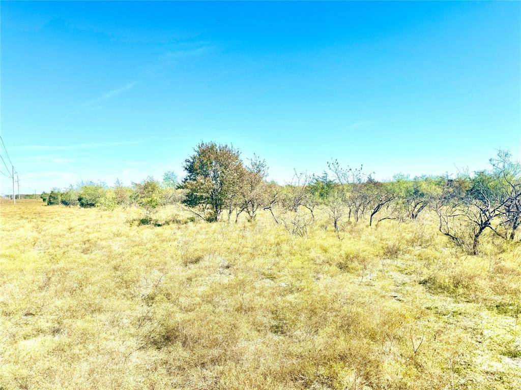 Mexia, TX 76667,318 Private Road 5462