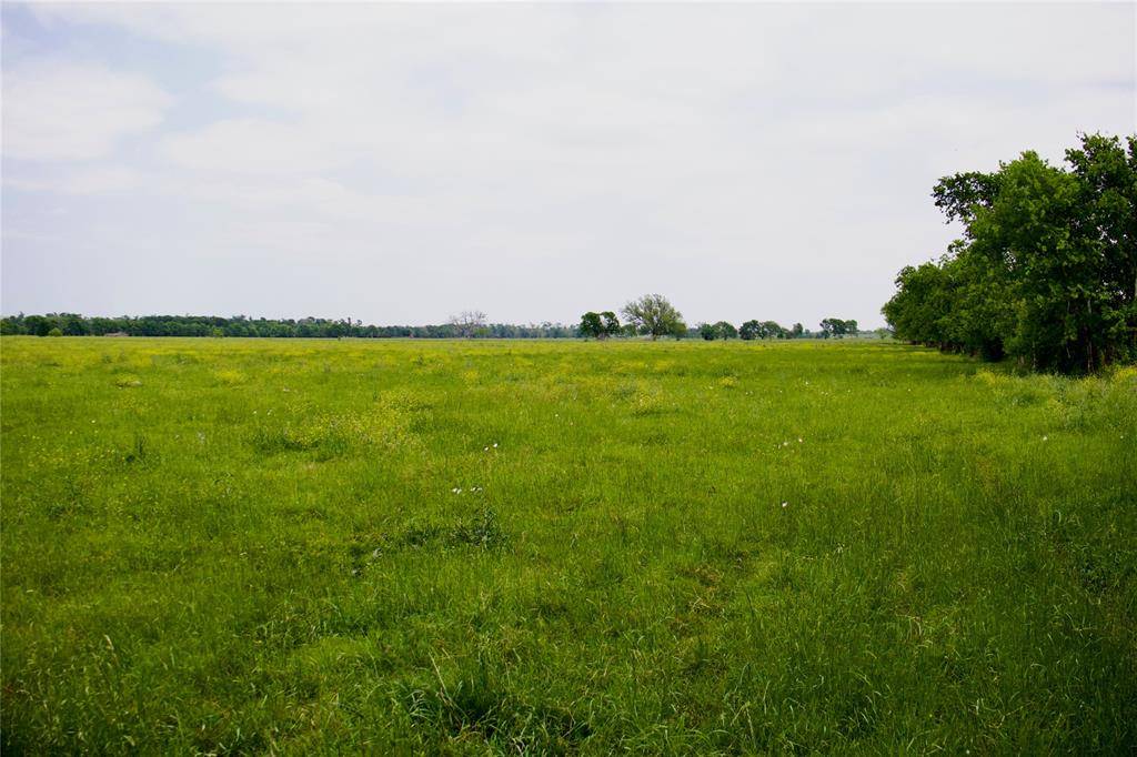Hempstead, TX 77445,TBD Addie Gee RD