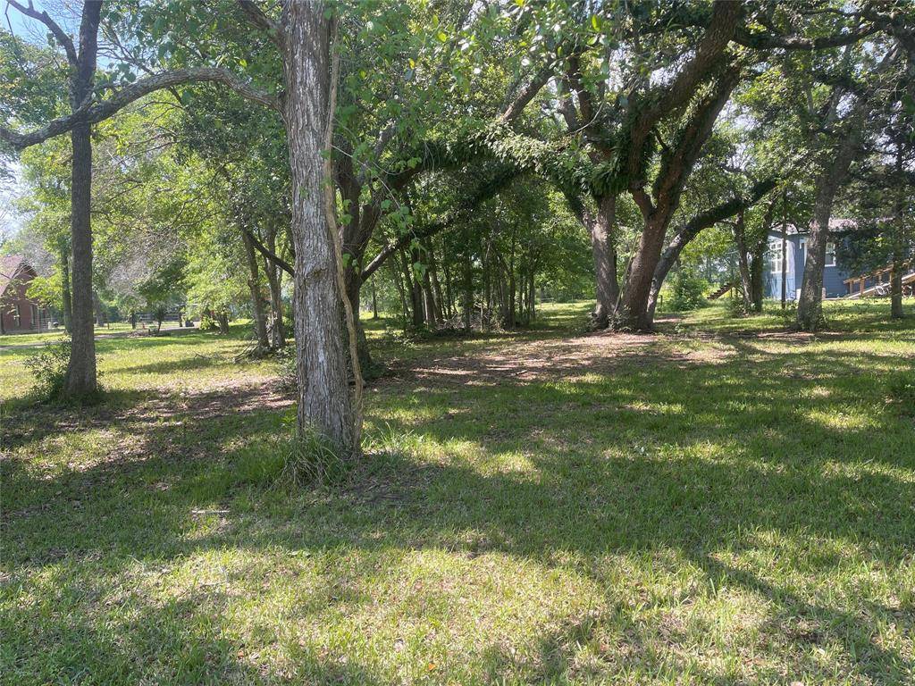 Alvin, TX 77511,00 Patricia, CR 377 LN