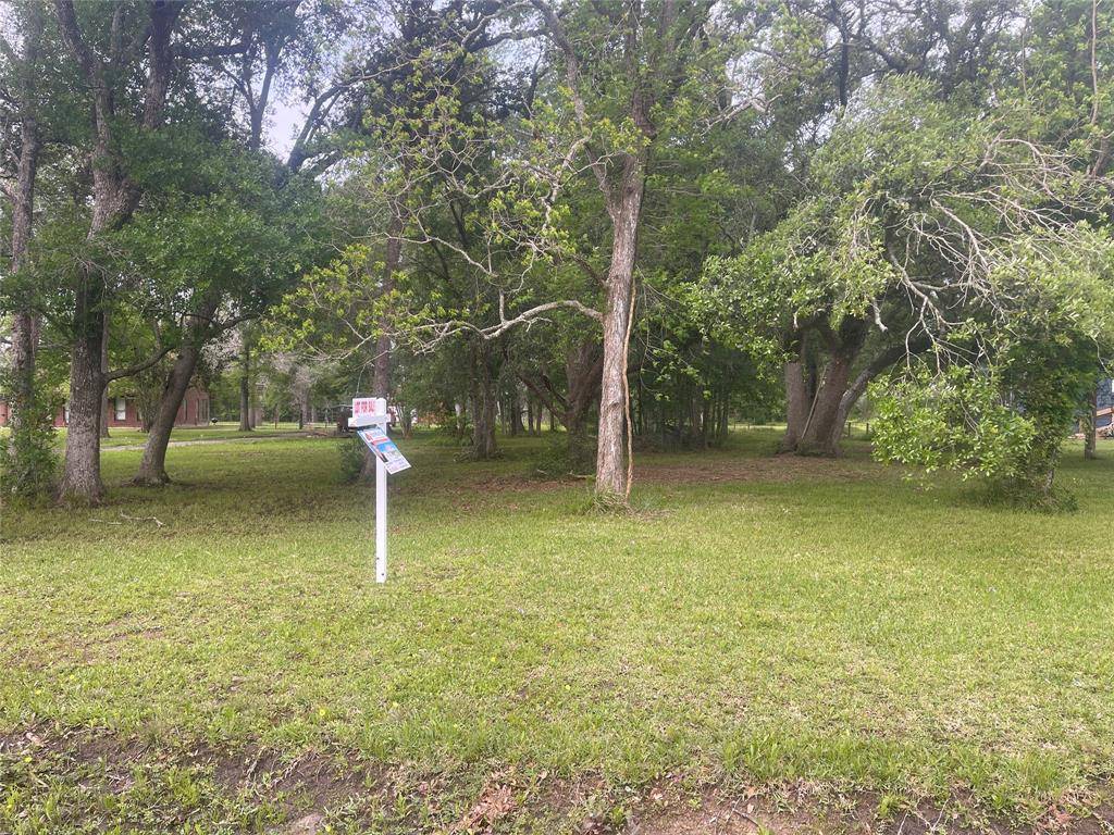 Alvin, TX 77511,00 Patricia, CR 377 LN