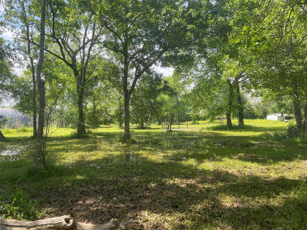 Alvin, TX 77511,00 Patricia, CR 377 LN