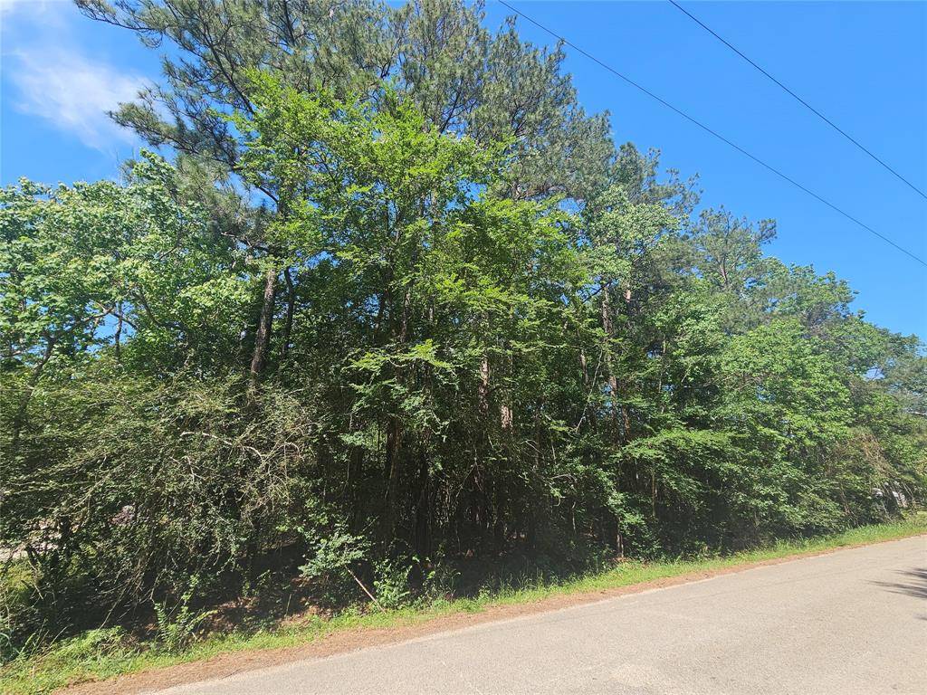 Conroe, TX 77302,TBD Kirbee Dr