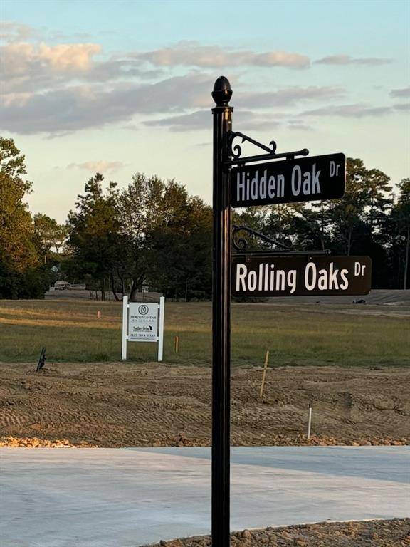 Hockley, TX 77447,201 Hidden Oak DR