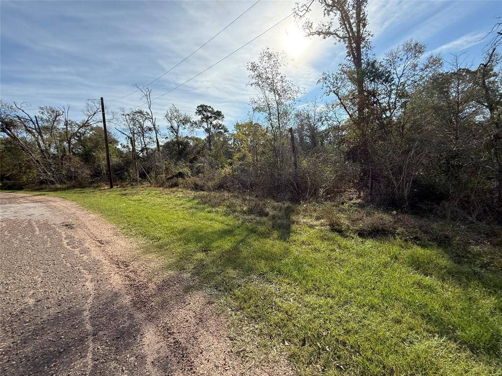 Hempstead, TX 77445,Lot 2 Block 51