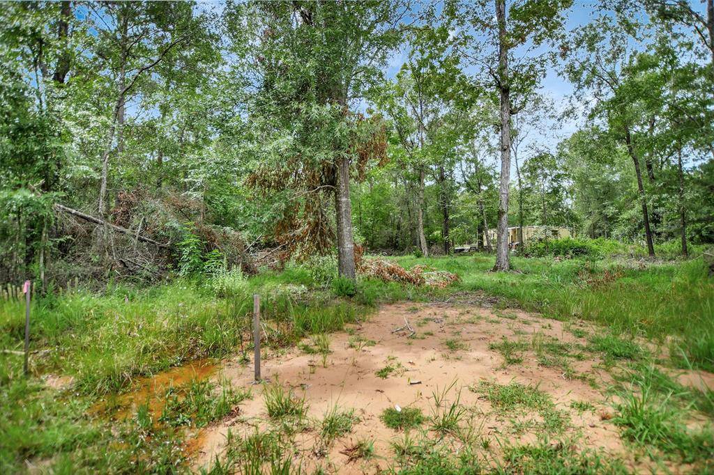 Livingston, TX 77351,Lot 217 & 218 Ramblewood