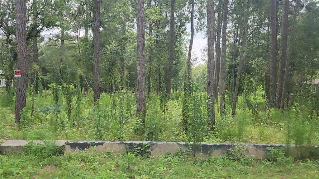 Plantersville, TX 77363,12562 Mossyknoll DR