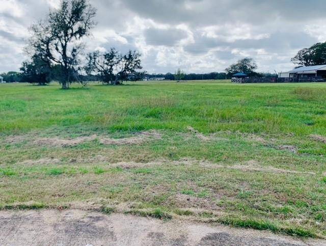 Angleton, TX 77515,1207 Arabian CT