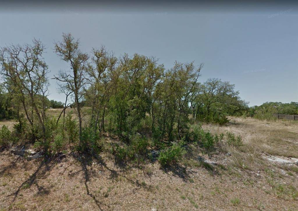 Marble Falls, TX 78654,98 Primrose LN