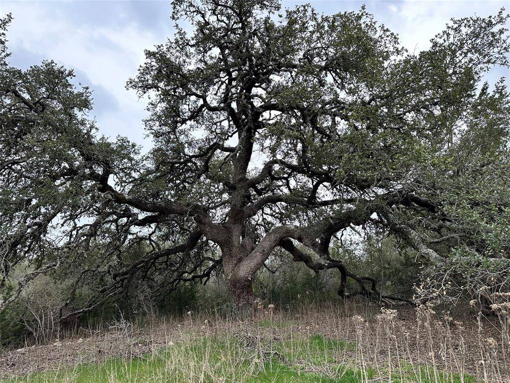 Dripping Springs, TX 78620,TBD Ranch Road 12