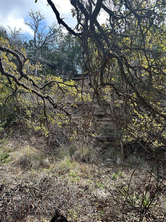 Dripping Springs, TX 78620,TBD Ranch Road 12