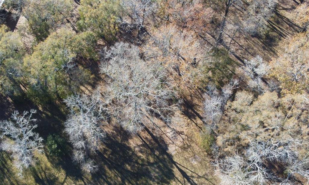Huffman, TX 77336,0 Belle Terre