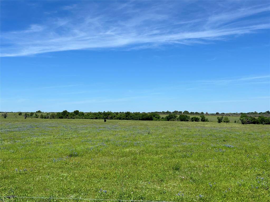 Chappell Hill, TX 77426,217 Acres Jozwiak RD