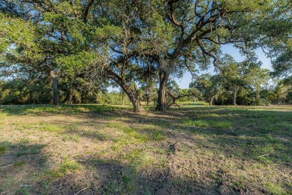 Round Top, TX 78954,TBD Drake Lane-Lot 10