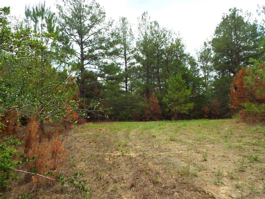 Hempstead, TX 77445,Lot 4 & 5 Dove LN