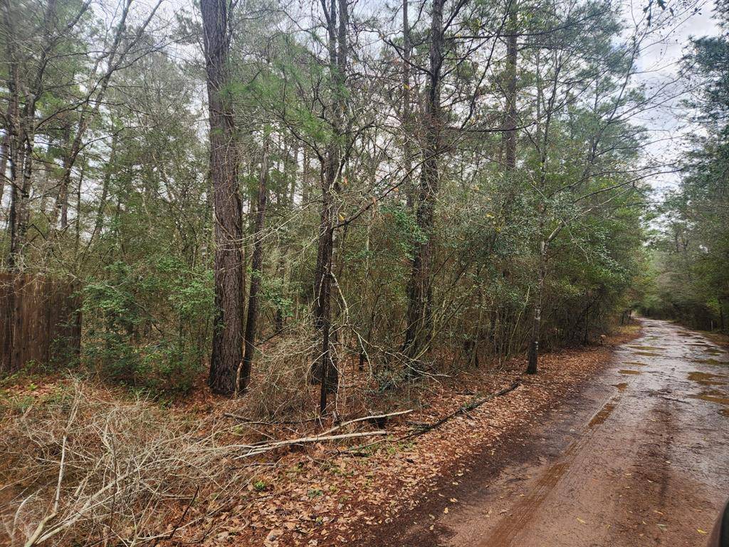 Plantersville, TX 77363,Lot 28 Sycamore LN