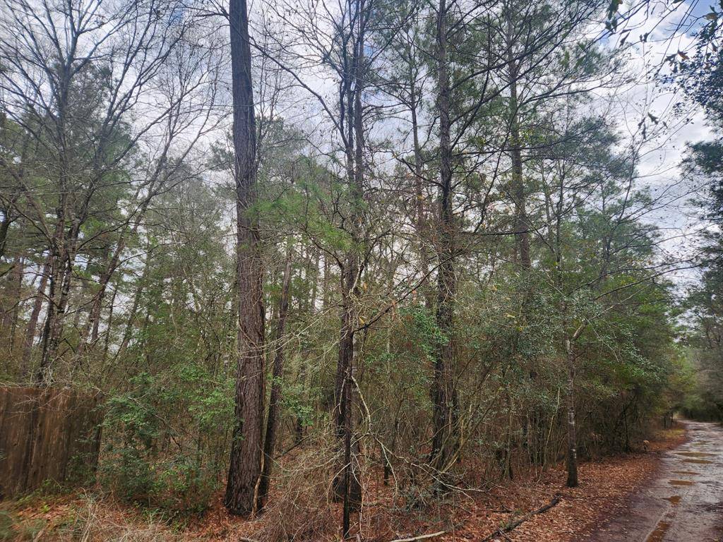 Plantersville, TX 77363,Lot 28 Sycamore LN