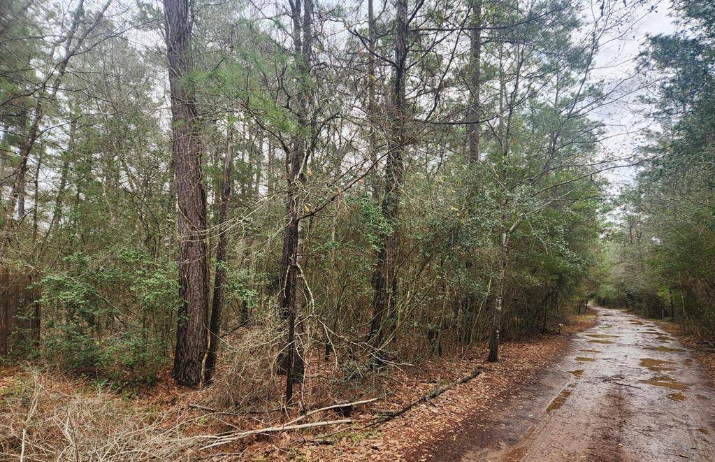 Plantersville, TX 77363,Lot 28 Sycamore LN