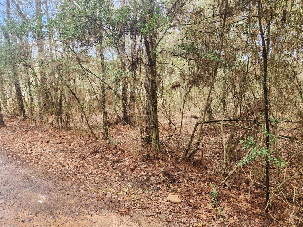 Plantersville, TX 77363,Lot 28 Sycamore LN