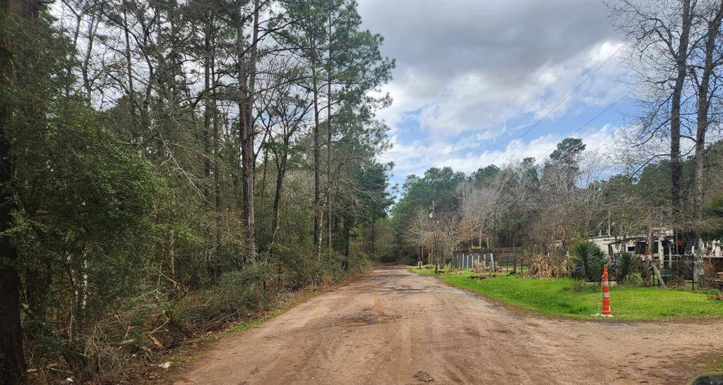 Plantersville, TX 77363,Lot 28 Sycamore LN