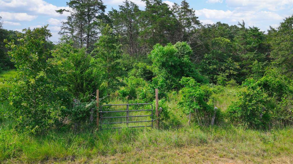 Caldwell, TX 77836,TBD (+/- 4.9 Acres) County Road 310