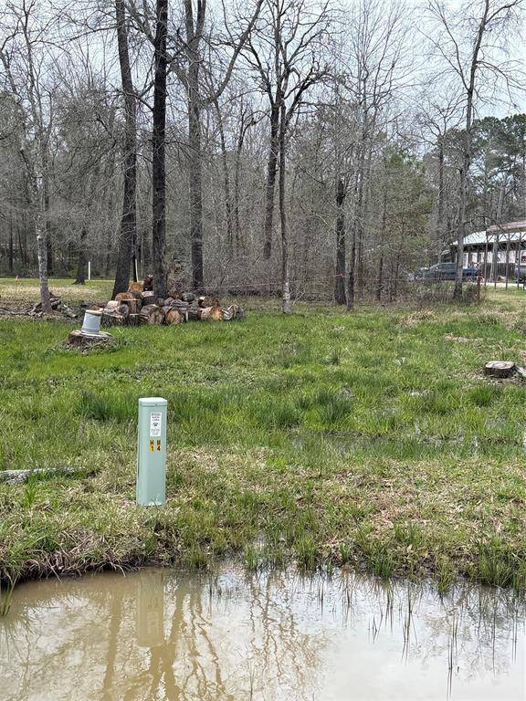 Livingston, TX 77351,160 Knottypine