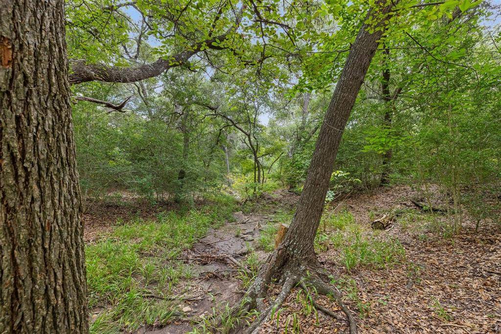 Round Top, TX 78954,TBD Drake Lane - Lot 26