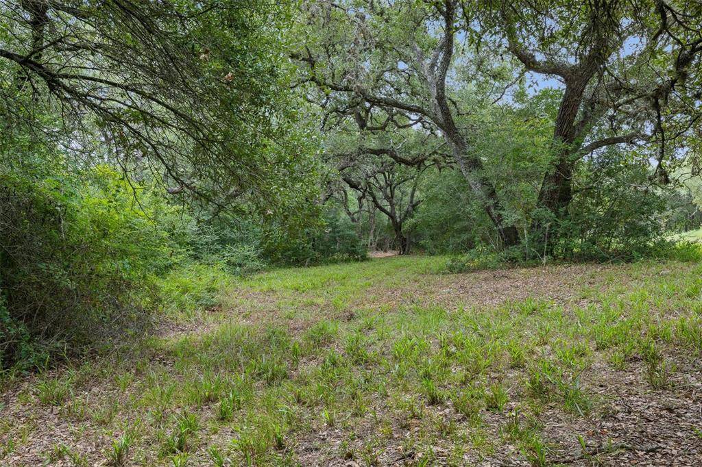 Round Top, TX 78954,TBD Drake Lane - Lot 26