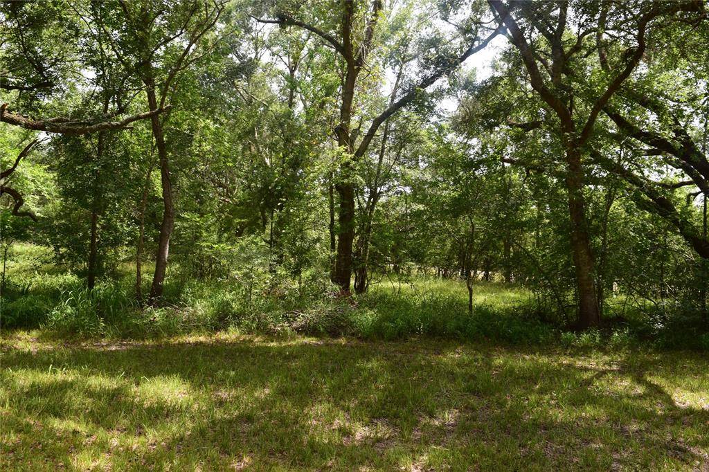 Rosharon, TX 77583,0 County Road 121