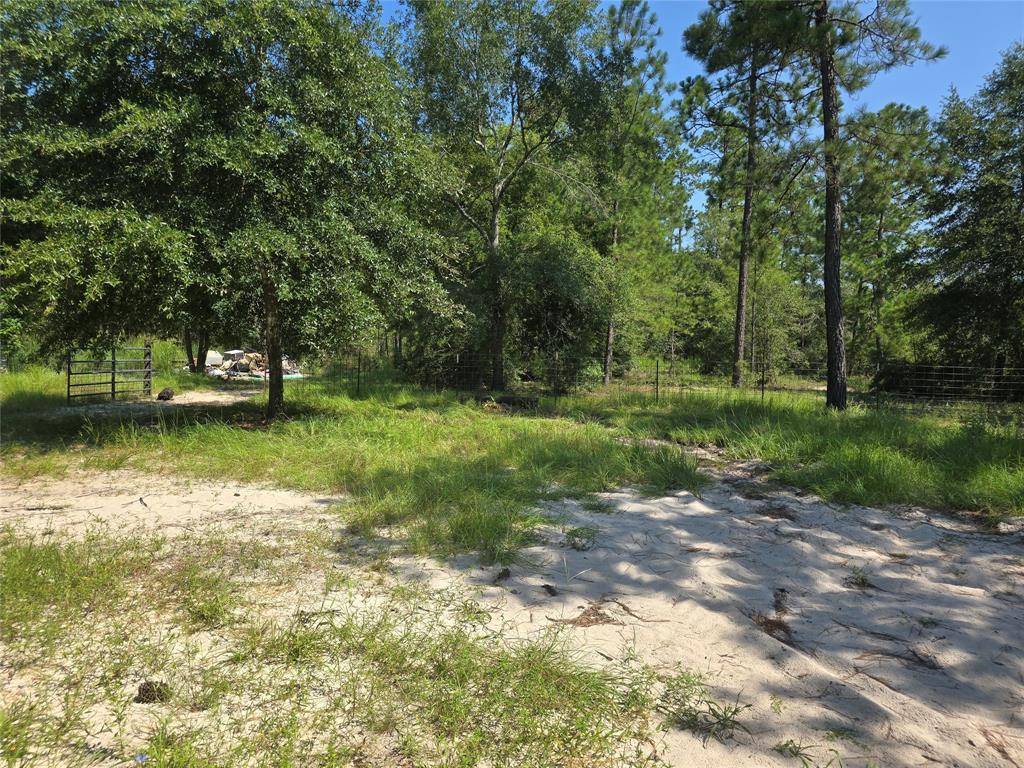 Kountze, TX 77625,1603 Damon Ln