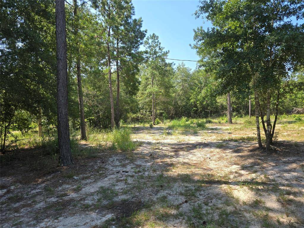 Kountze, TX 77625,1603 Damon Ln