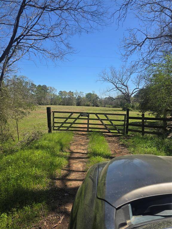 New Waverly, TX 77358,00 TBD MIMMS RD
