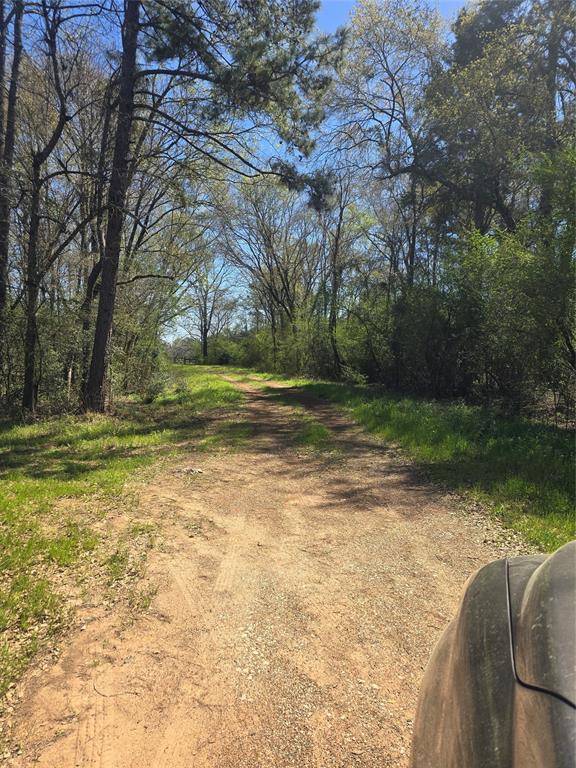 New Waverly, TX 77358,00 TBD MIMMS RD