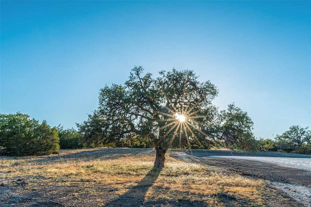 Fredericksburg, TX 78624,32 & 33 Buckskin PATH