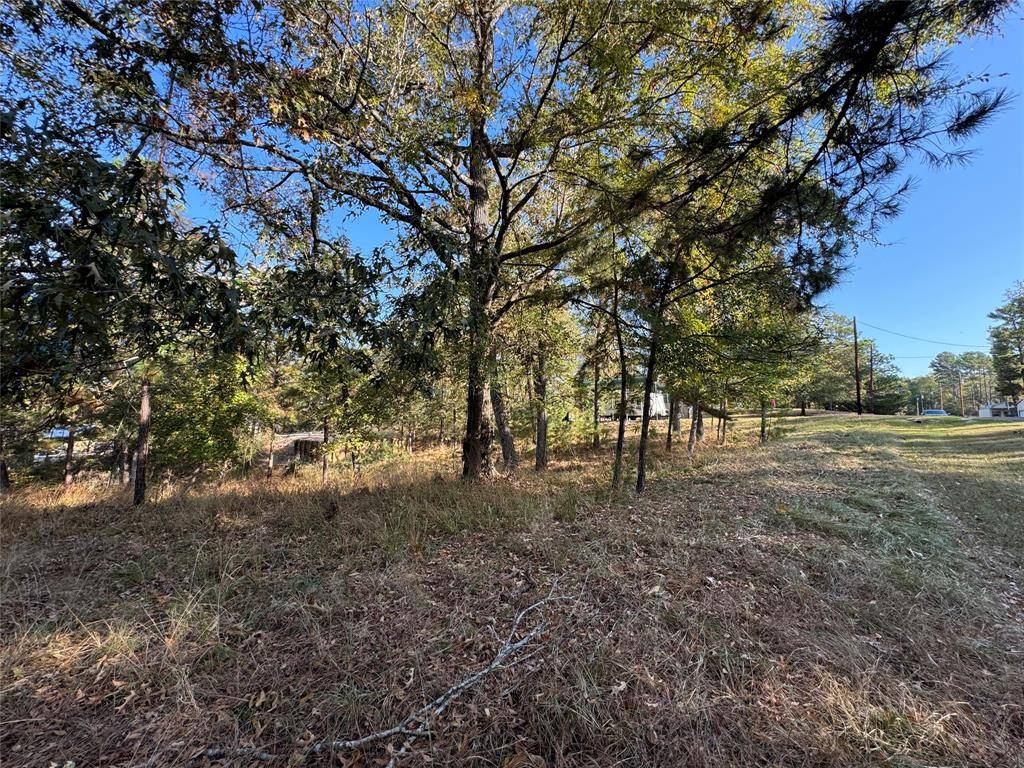 Trinity, TX 75862,Lots 319&318 Oakwood Ln