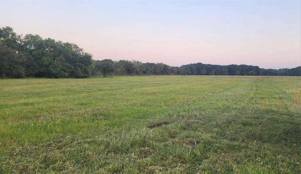 Wallis, TX 77485,3690 W Fm 1093
