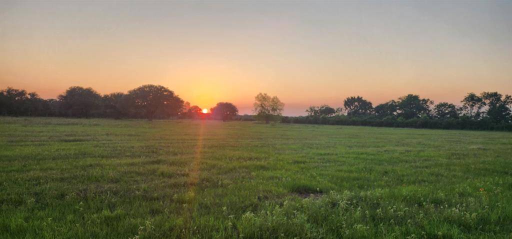 Wallis, TX 77485,3690 W Fm 1093