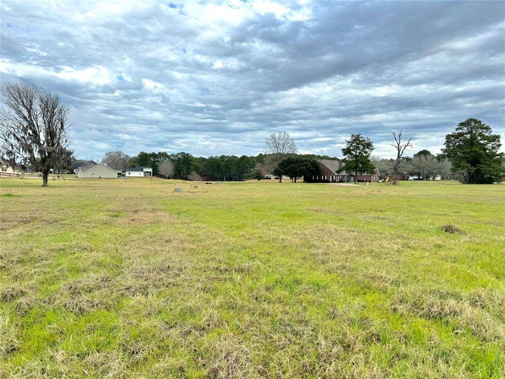 Trinity, TX 75862,TBD00 Meadowview DR