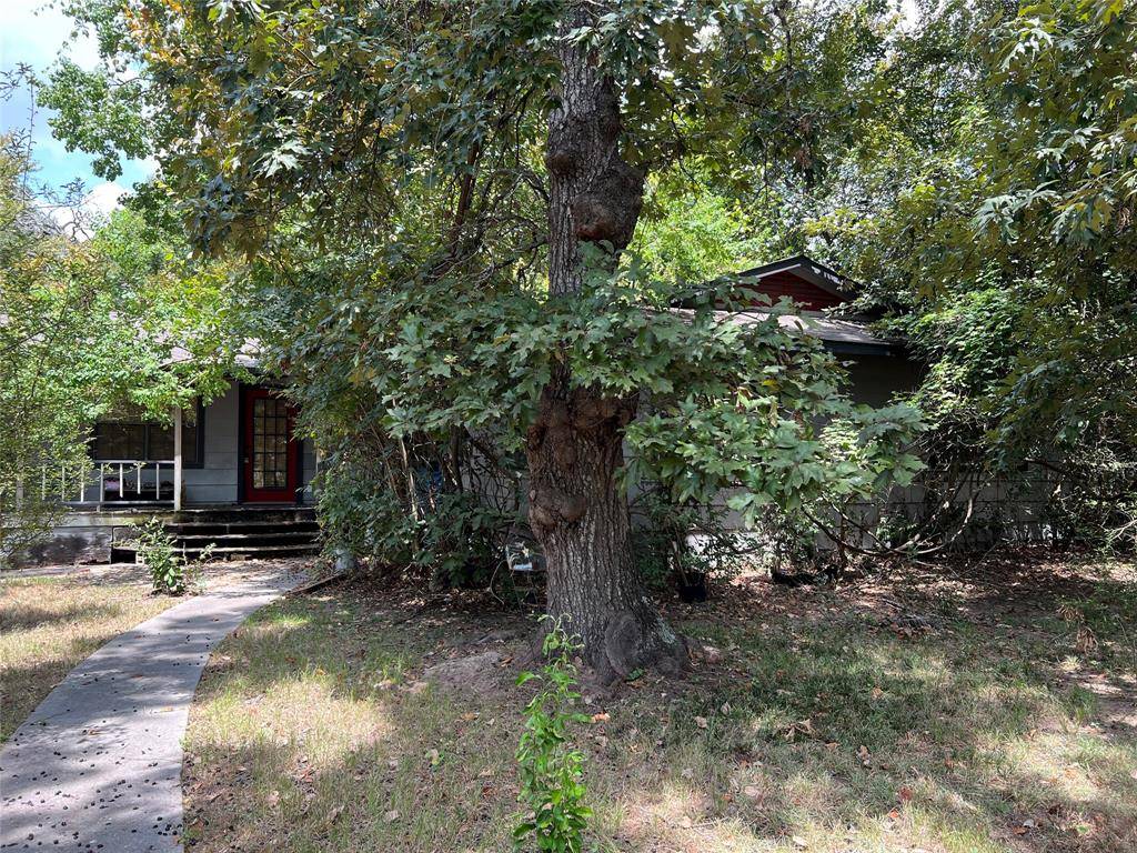 Magnolia, TX 77355,19562 Loafers LN