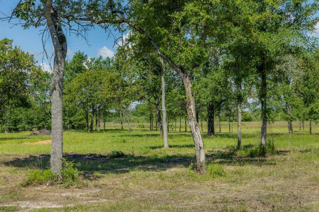 Bedias, TX 77831,6623 Atakapan Trail