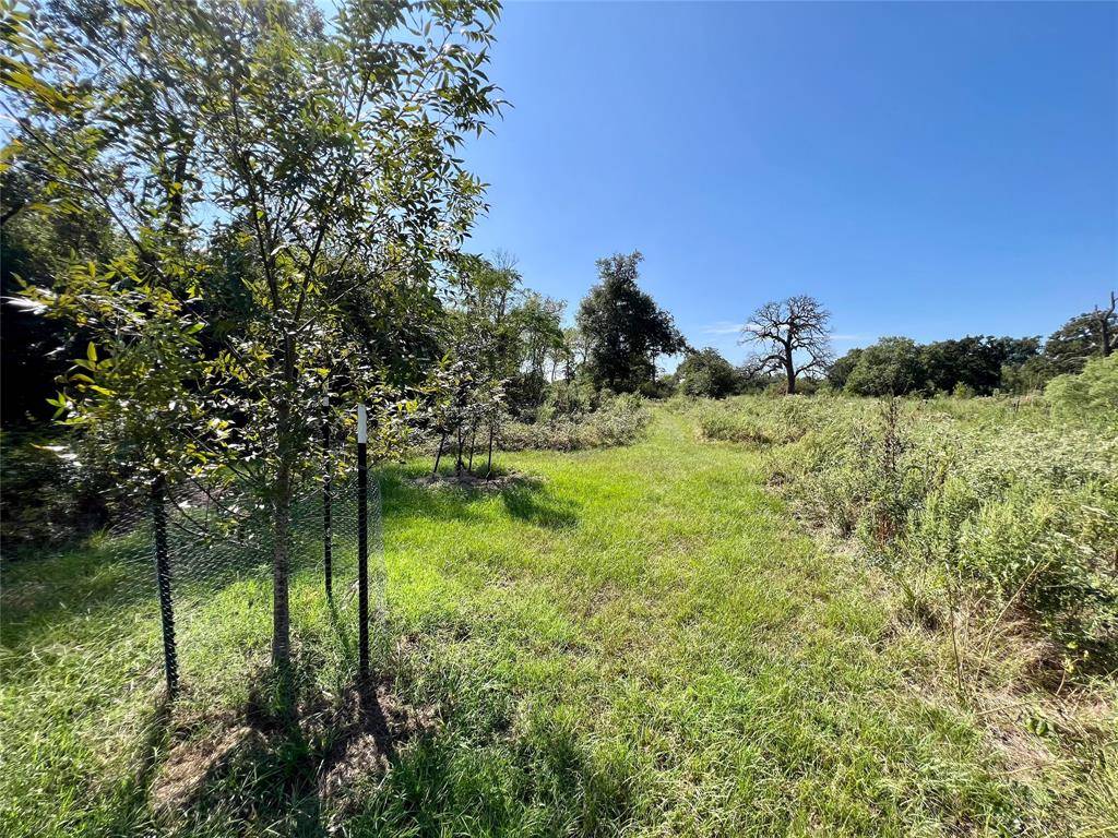 Iola, TX 77861,Lot 446 Henley Cove